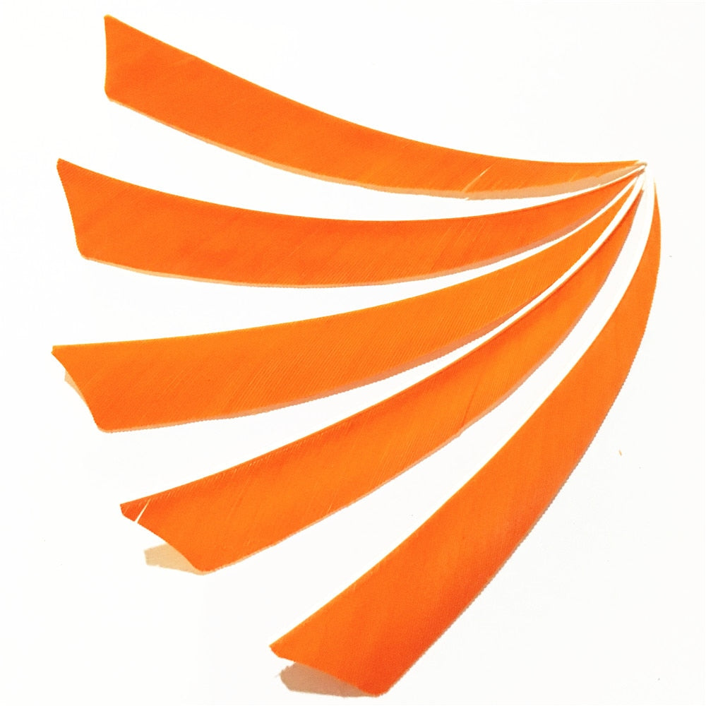 50 Pcs 5 Inch 9 Colors Shield Turkey Feathers Arrow Feather Fletching for Any Wooden & Bamboo Arrow for Archery Hunting